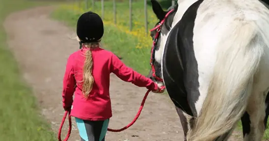 Magpie Cottages – Horses