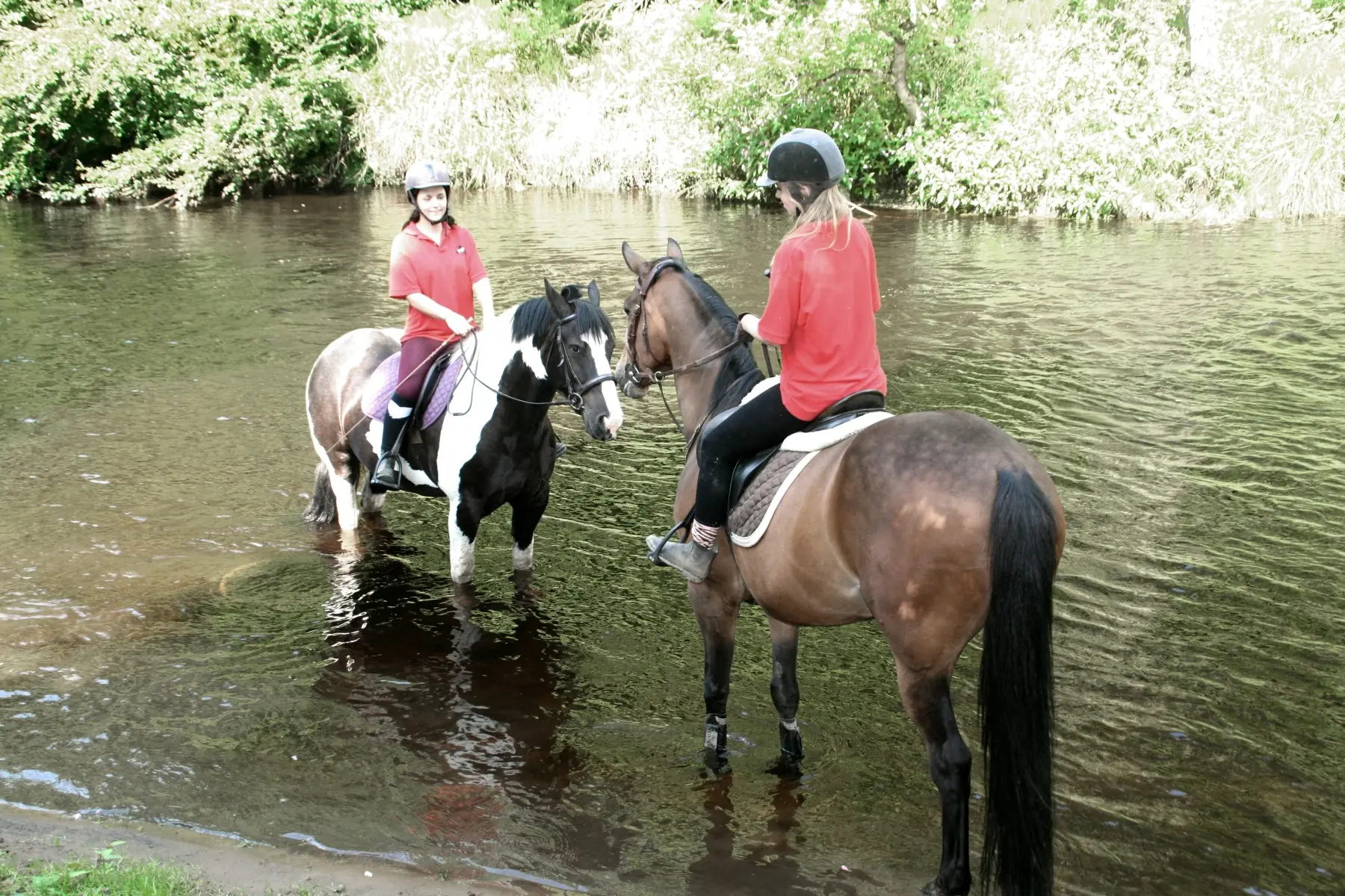 Magpie Cottages – Riding